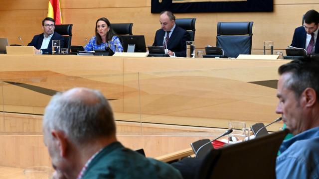 La consejera María González Corral, durante su comparecencia en las Cortes de Castilla y León.
