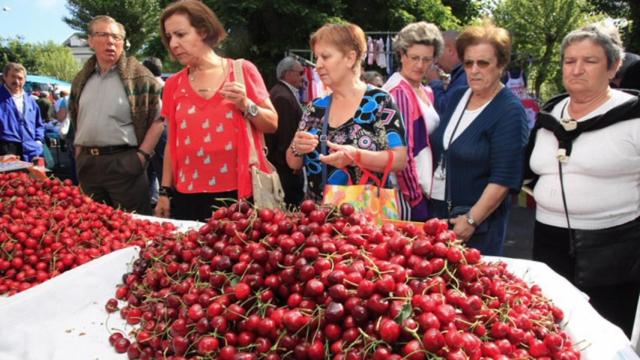 Fiesta de las Cerezas de Paiosaco
