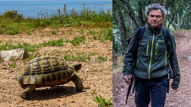 Francisco López de Haro, máster en Educación Ambiental, es uno de los mayores defensores de la tortuga mora.
