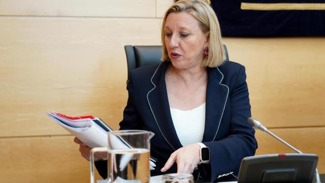 La consejera de Familia e Igualdad de Oportunidades, Isabel Blanco, informa a las Cortes sobre el grado de cumplimiento de los objetivos de su departamento para la legislatura.