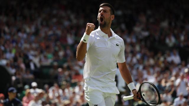 Djokovic celebra un punto ganado a Fearnley.
