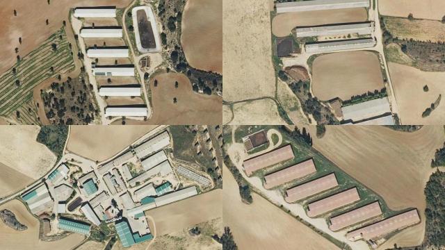 Imágenes facilitadas por la Asociación Pueblos Vivos de Cuenca.