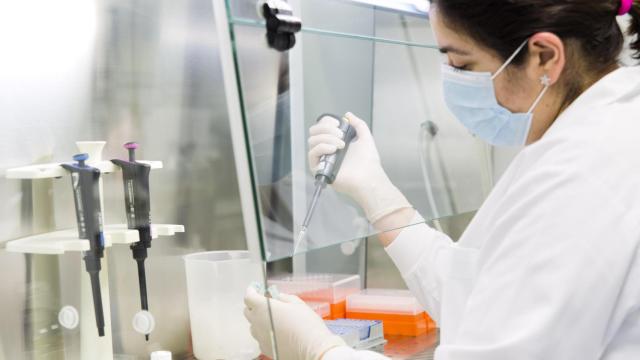 Fabricación de una vacuna en Zendal, en O Porriño.