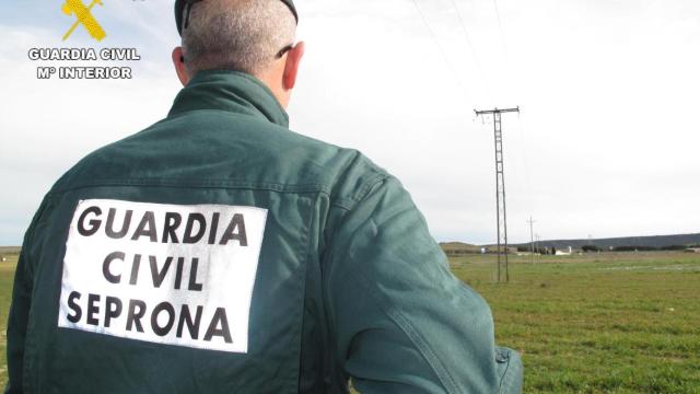 Imagen de la Guardia Civil en el lugar