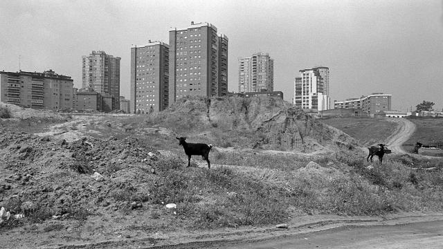 Javier Campano, Chamartín 1980. © Javier Campano. VEGAP, Madrid, 2024