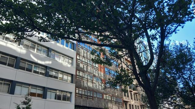 Una obra de Molezún en la calle Juan Flórez de A Coruña