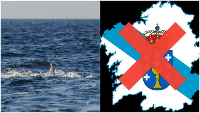 El hilo con razones para no visitar Galicia se ha hecho viral