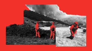 En la primera mitad de este año, el fuego ha quemado 21.730 hectáreas, según datos provisionales del MITECO.