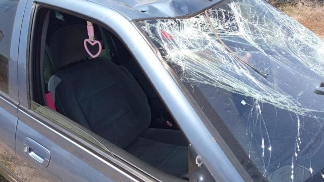 Estado de la luna delantera del Peugeot 406 conducido por un joven, de 23 años, que atropelló a dos turistas británicos en un paso de peatones, este martes, en Los Narejos.