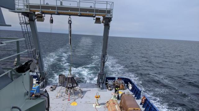 Investigadores del University College London realizando sus investigaciones.