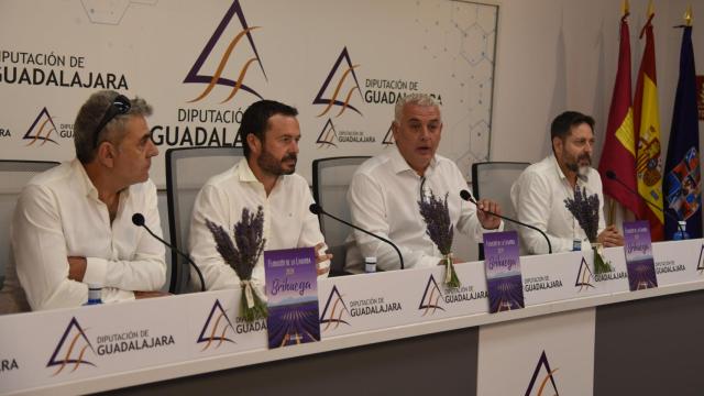 Presentación de Festival de la Lavanda.