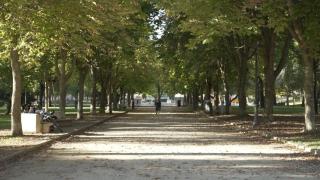 Detenidos en Villaverde 4 trinitarios por agredir con machetes a dos jóvenes: se confundieron al vengarse de los DDP