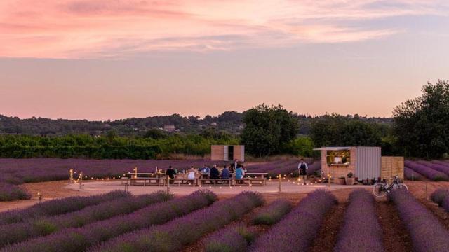 El hotel de Mallorca con cenas de estrella Michelin en el mayor campo de lavandas de Baleares