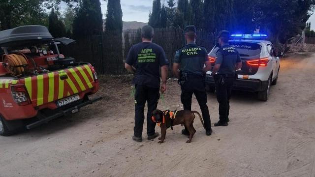 Ocho horas desaparecida en un pinar de Burgohondo: así fue el operativo contrarreloj de la Guardia Civil para encontrarla