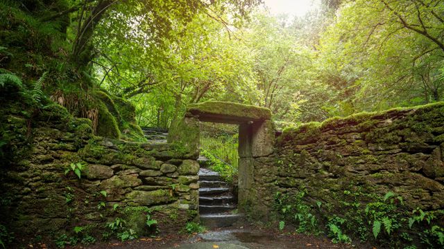 Restos del antiguo molino de Sesin en el parque natural de Fragas do Eume