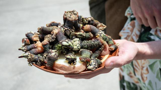 Una mano sostiene un plato de percebes