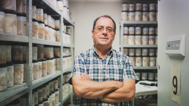 Rábano es director del Banco de Tejidos de la Fundación CIEN desde su creación en 2007.