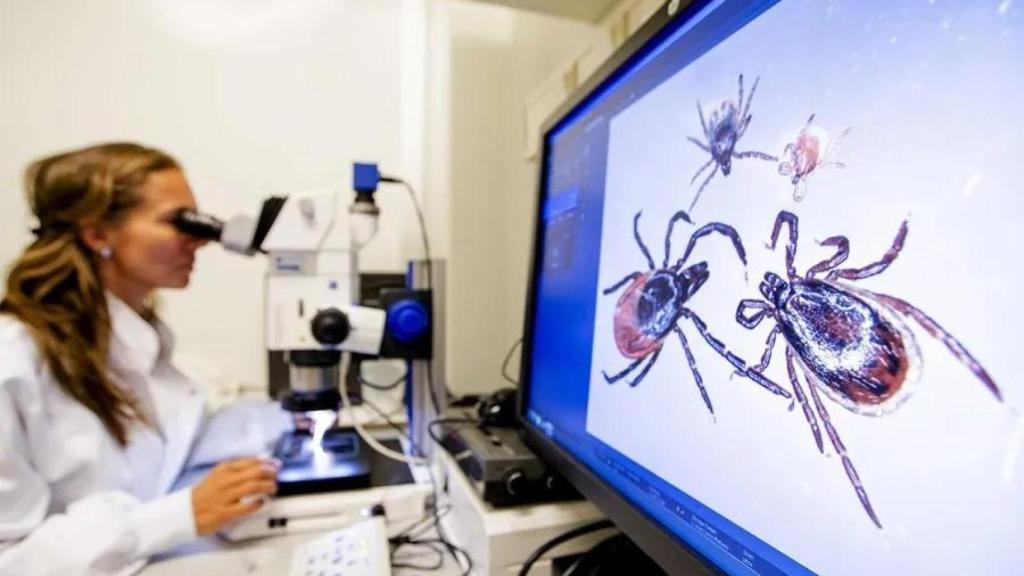 Científica investigando sobre la fiebre de Crimea-Congo