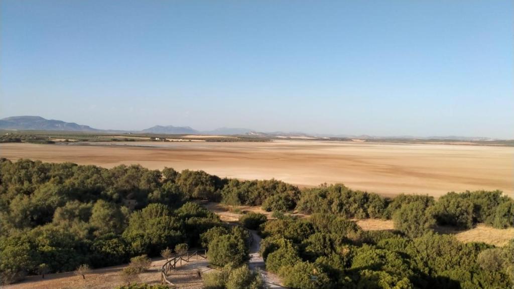 El estado actual de la Laguna de Fuente de Piedra.
