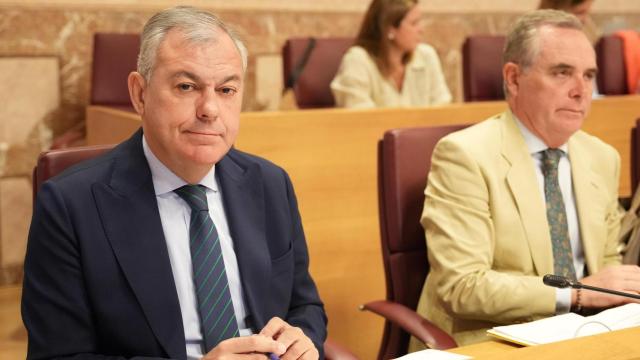 José Luis Sanz, en el Pleno.