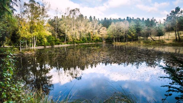 Este sitio es sumamente buscado por amantes al campismo y el senderismo.