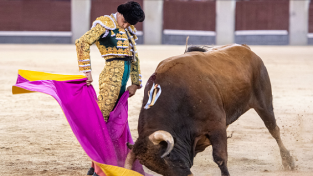 Mario Navas anoche en Las Ventas en un lance capotero