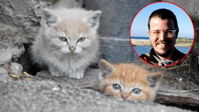 Miguel Clavero es investigador en la Estación Biológica de Doñana (EBD-CSIC)/ Camada de gatos callejeros (Haiekin)