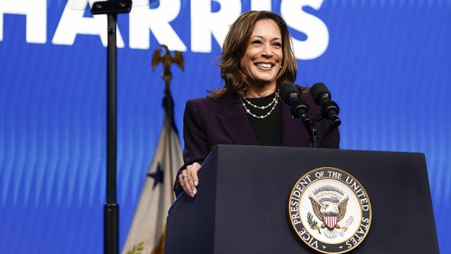Kamala Harris, la nueva candidata del Partido Demócrata a las elecciones de noviembre en Estados Unidos. Foto: EuropaPress