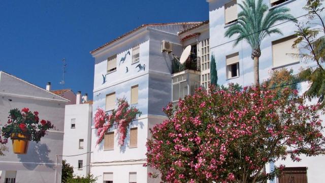 Murales en Estepona.