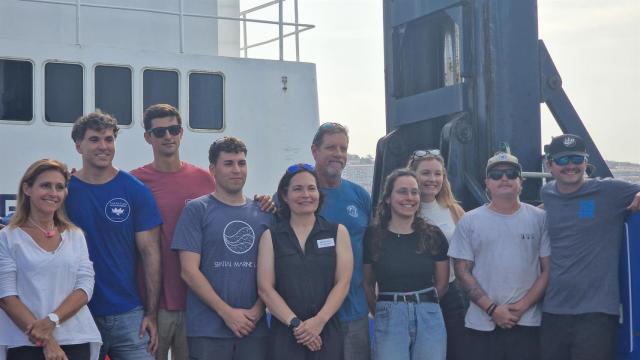 Investigadores analizarán si la población de tiburones blancos de la costa gallega proviene del Mediterráneo