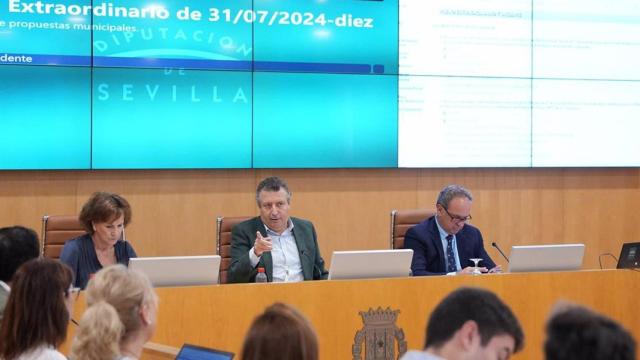 Javier Fernández, durante el Pleno Extraordinario de la Diputación de Sevilla.