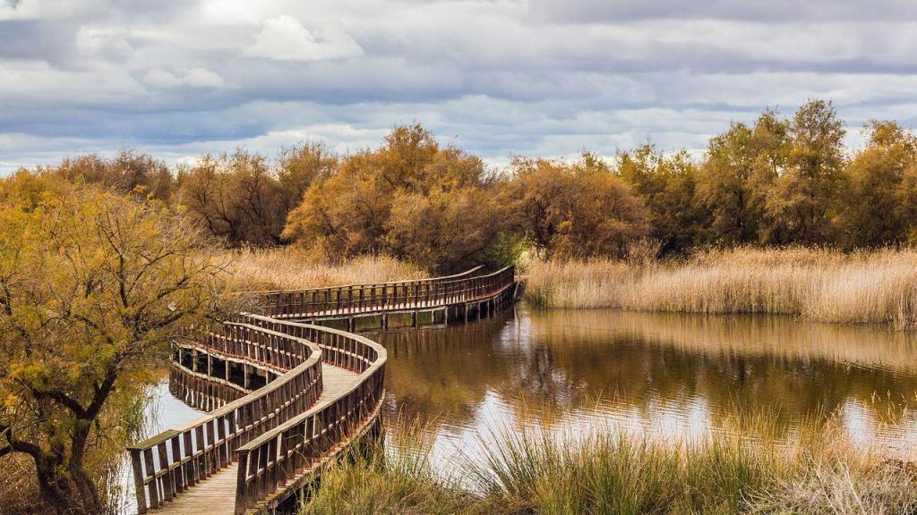 Fotografía de Las Tablas de Daimiel, nacimiento del río Guadiana.