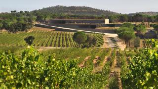 Lo hemos encontrado: este es el vino blanco más refrescante del verano
