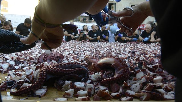 Personas trocean pulpo en O Carballiño, a 9 de agosto de 2022, en O Carballiño.
