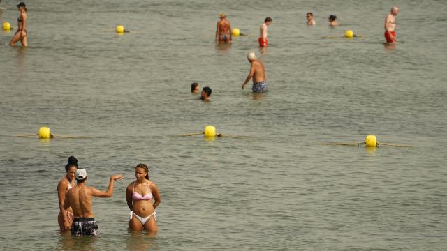 Bañistas en la playa.