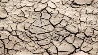 Las lluvias han sido de 231,6 mm en lo que llevamos de año hidrológico, por debajo de la media de los 390 mm.