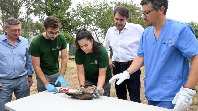 Visita de Suárez-Quiñones al Centro de Recuperación de Animales Silvestres de Valladolid