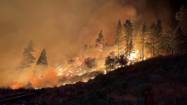 El humo se eleva mientras la vegetación arde, en medio del incendio Gold Ranch en Verdi, Nevada, EE.UU., 11 de agosto de 2024.