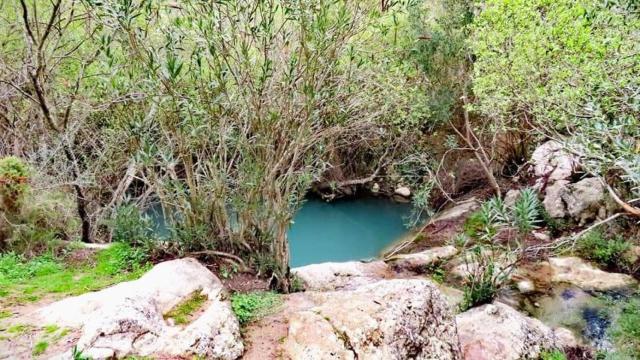 Los entornos de la piscina natural.