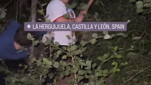 Diego, intentando cortar el árbol durante los quintos de La Herjiguela