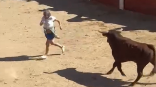 Un toro salta el burladero en Peñafiel y a punto está de coger a una mujer