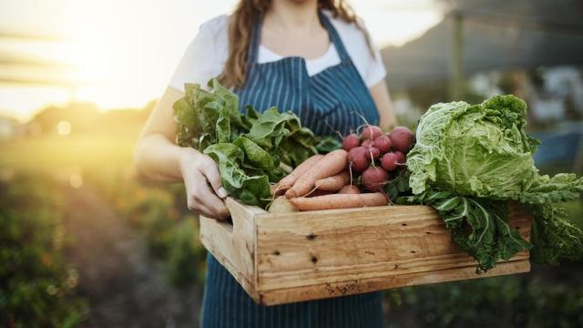 Mujer recogiendo la cosecha de verduras.