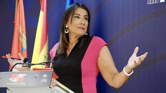 La secretaria de Organización del Partido Socialista de Castilla y León (PSOECyL), Ana Sánchez, hoy en la rueda de prensa