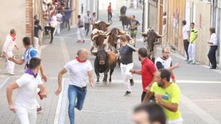 Encierros de Cuéllar