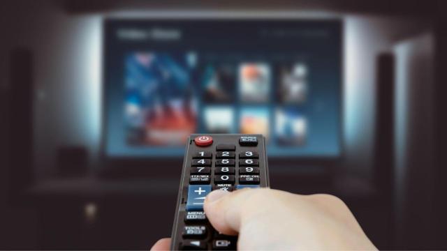 Bubbo analiza los patrones de visualización y las preferencias individuales de cada usuario para ofrecer recomendaciones precisas y adaptadas a sus gustos.