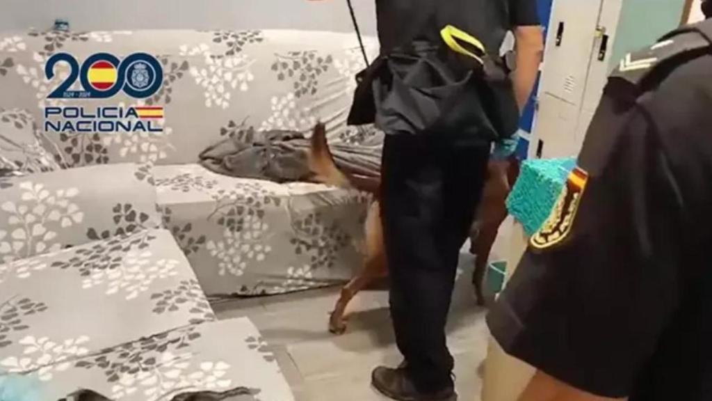 Agentes de la Policía Nacional en un piso 'burdel' de Latina, en una imagen de archivo.