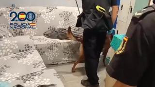 Agentes de la Policía Nacional inspeccionando el piso 'burdel' de Latina.