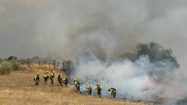 Imagen de los forestales intentando sofocar el incendio.
