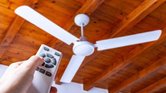 Un ventilador de techo.