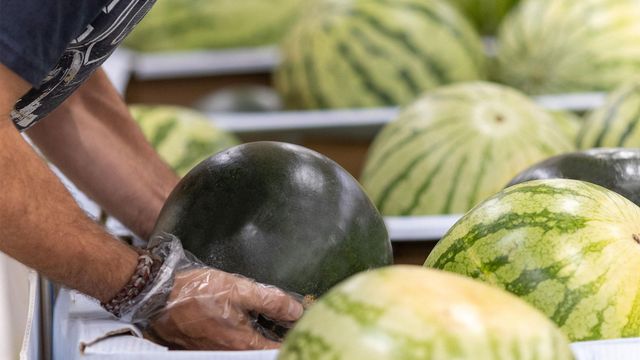 El expositor de sandías en uno de los supermercados de Mercadona.